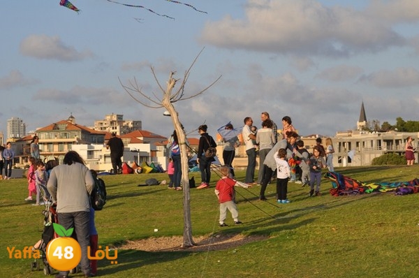 tayarat waraq (10).JPG